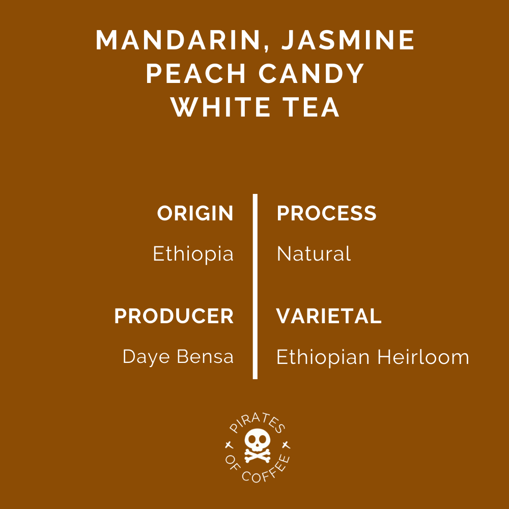 TREASURE OF HAMASHO: Ethiopia Natural