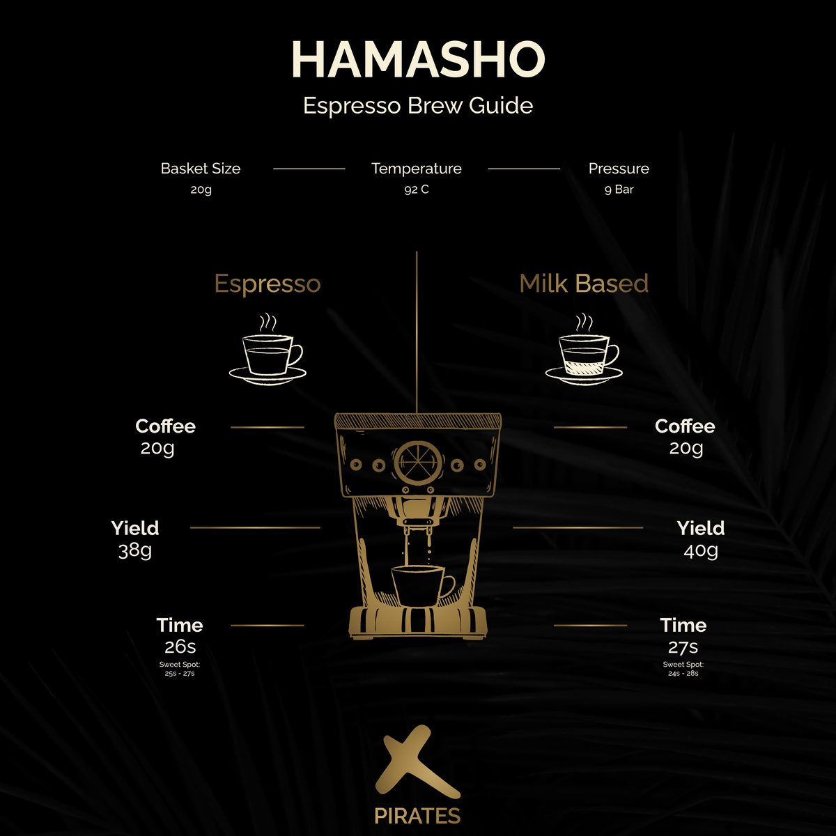 HAMASHO: Ethiopia Daye Bensa Natural