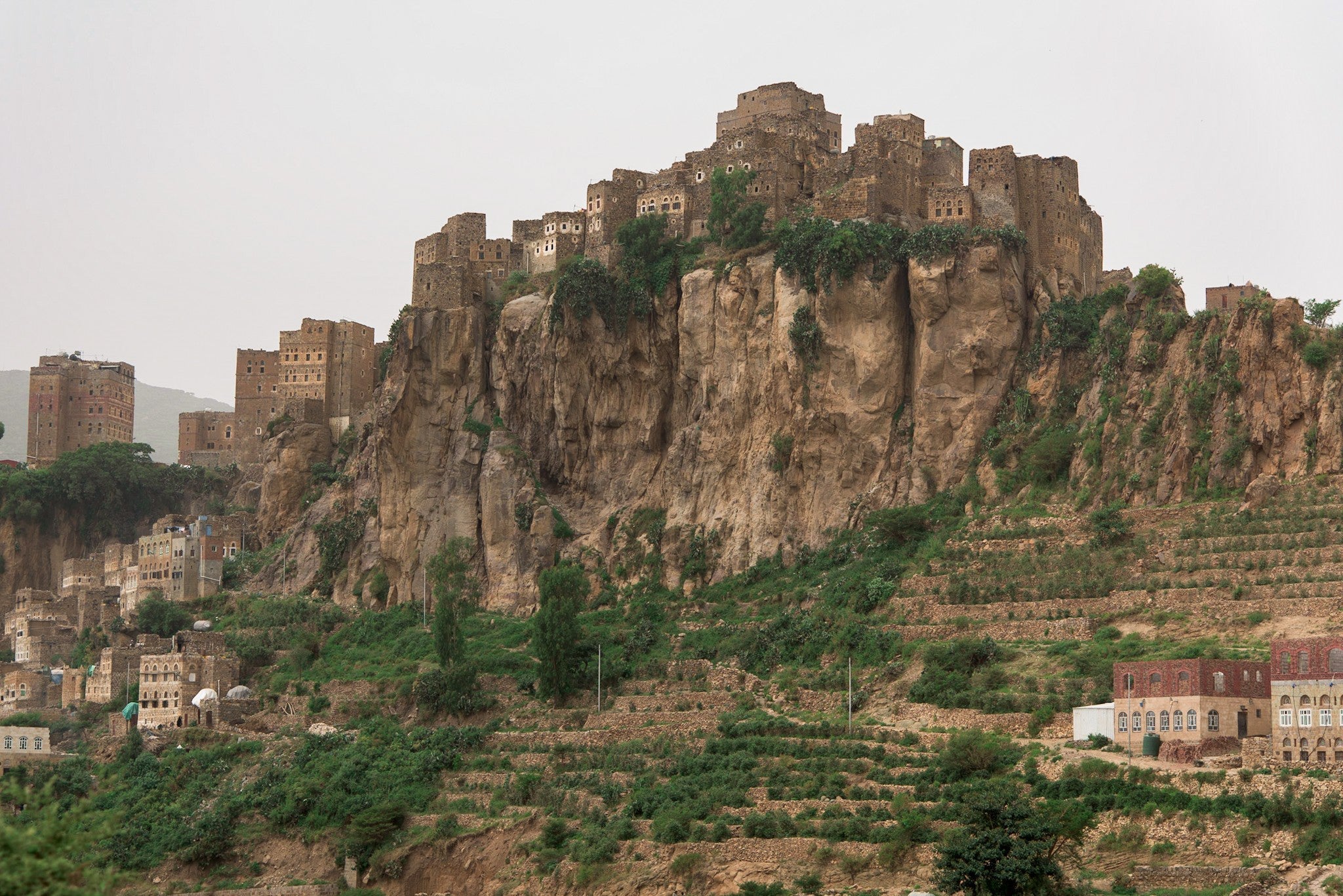 PHILOSOPHY: Yemen Natural