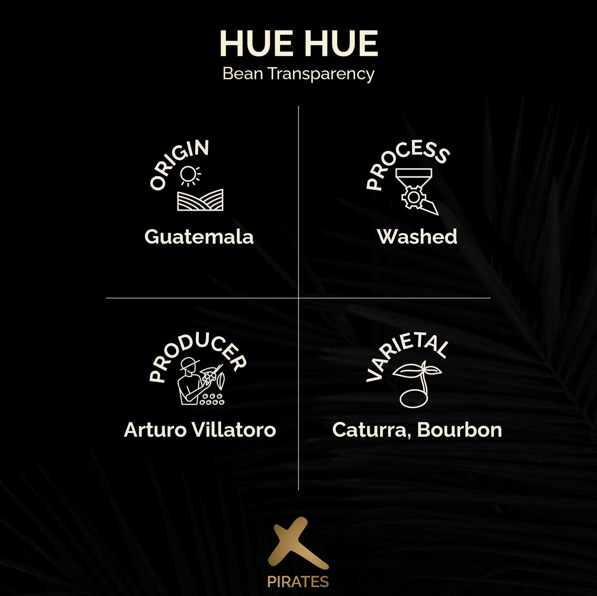 HUE HUE: Guatemala Washed