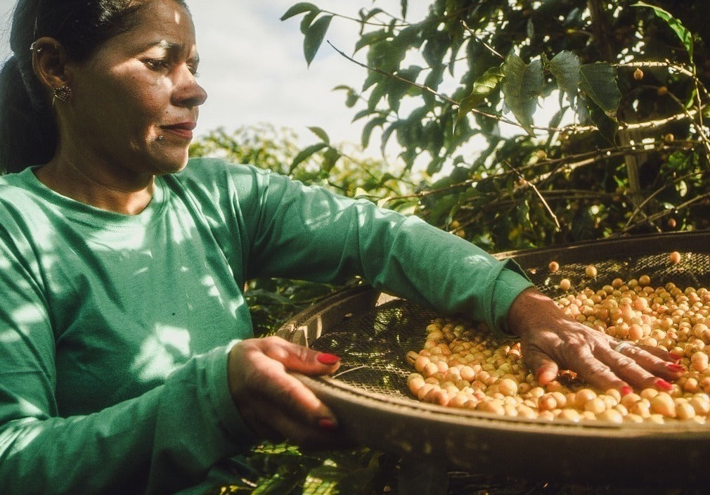 DECAF COCOA BOMB: Brazil Minas Gerais