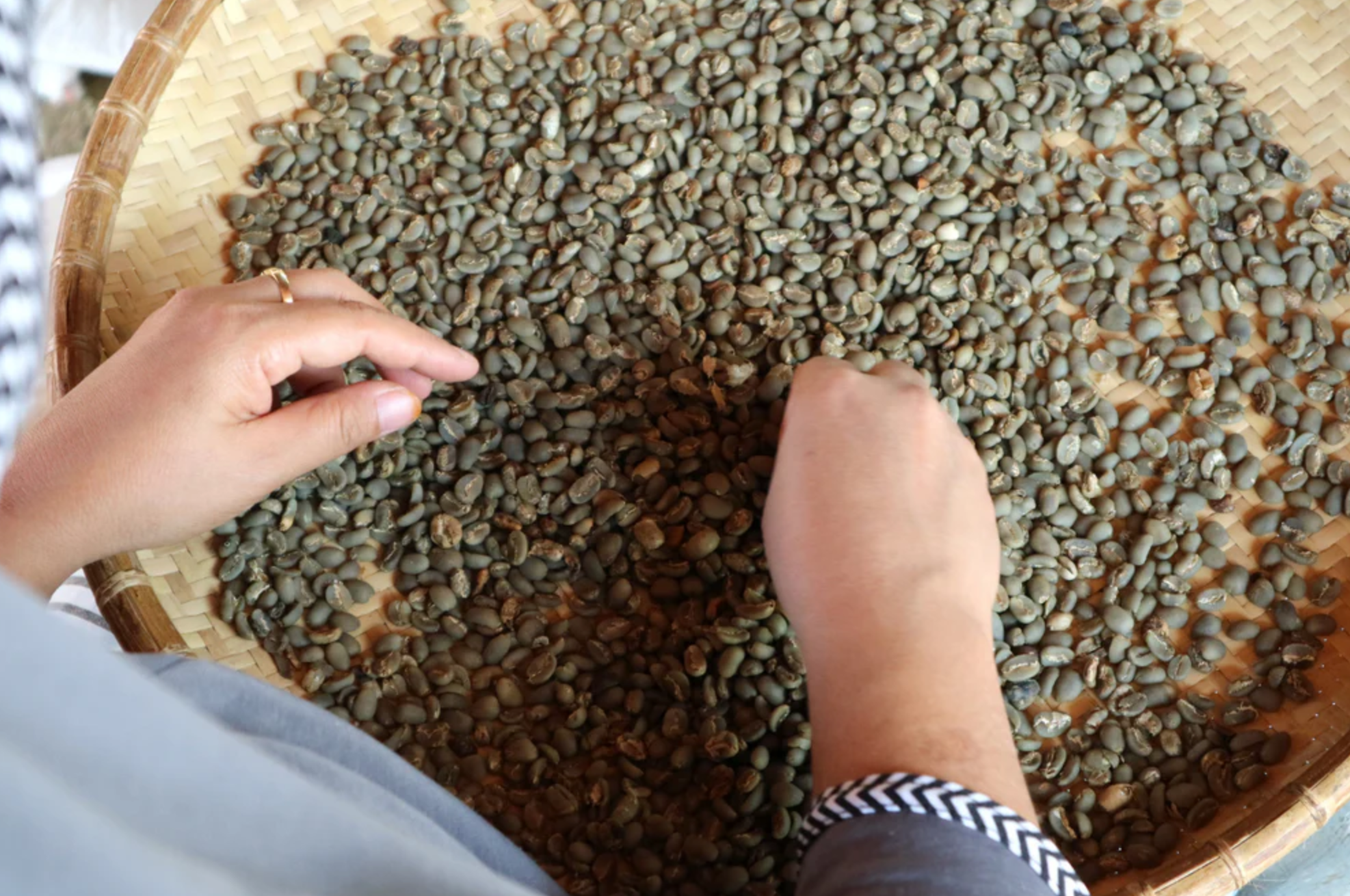 SUMATRA: Indonesia Washed