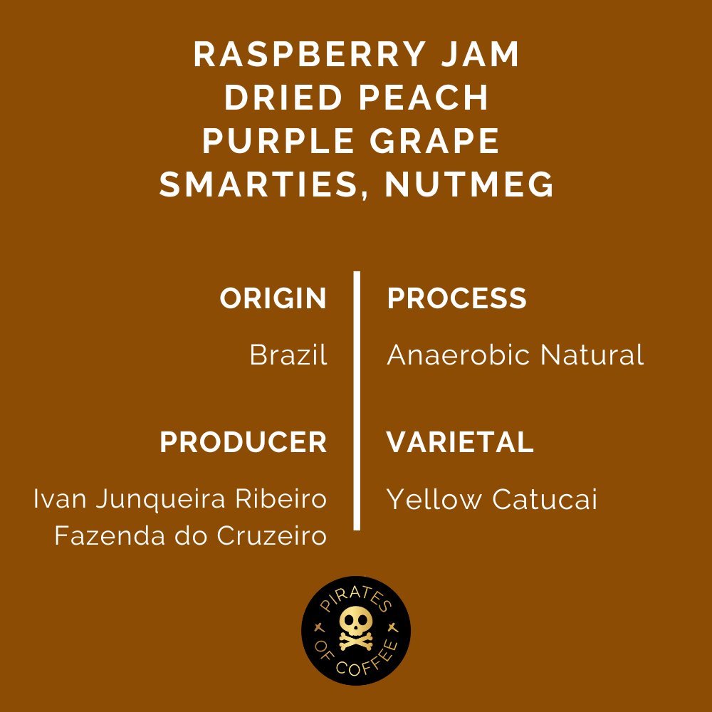 JAMMY: Brazil Anaerobic Natural