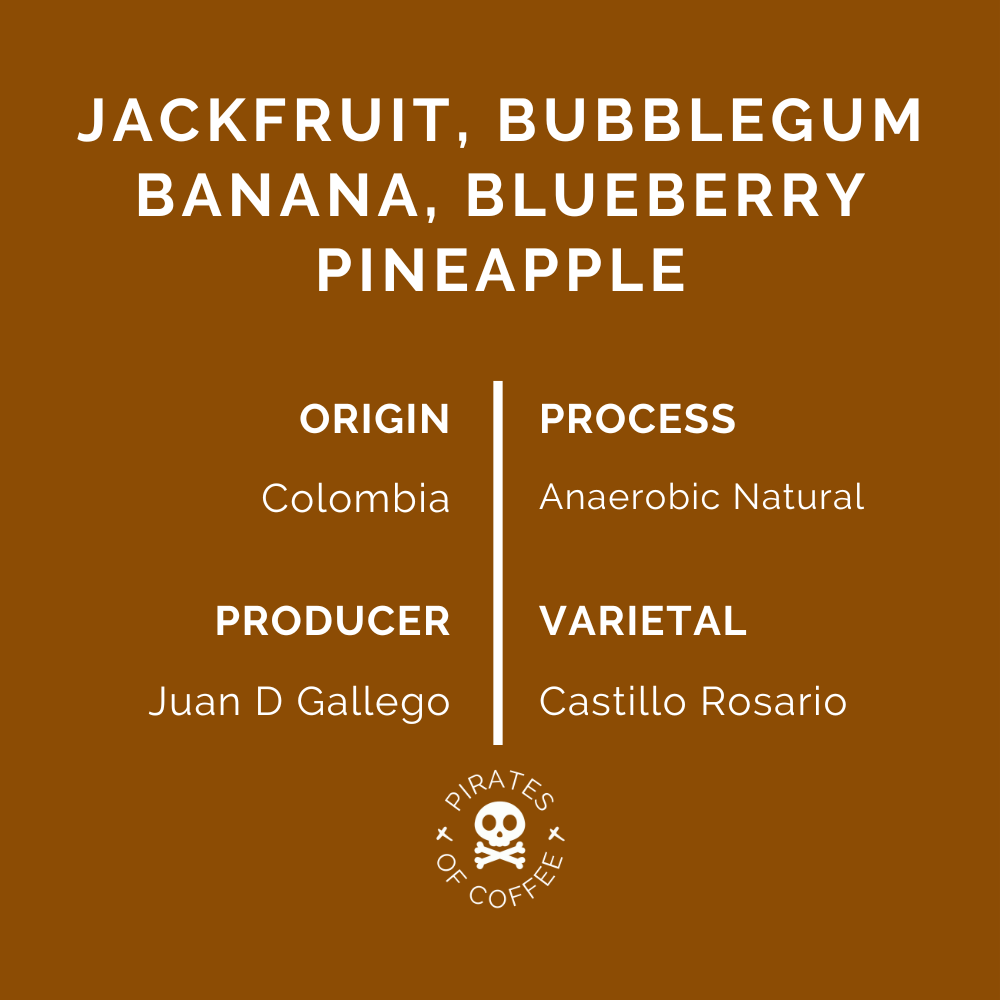 JAZZY FRUIT: Colombia Anaerobic Natural