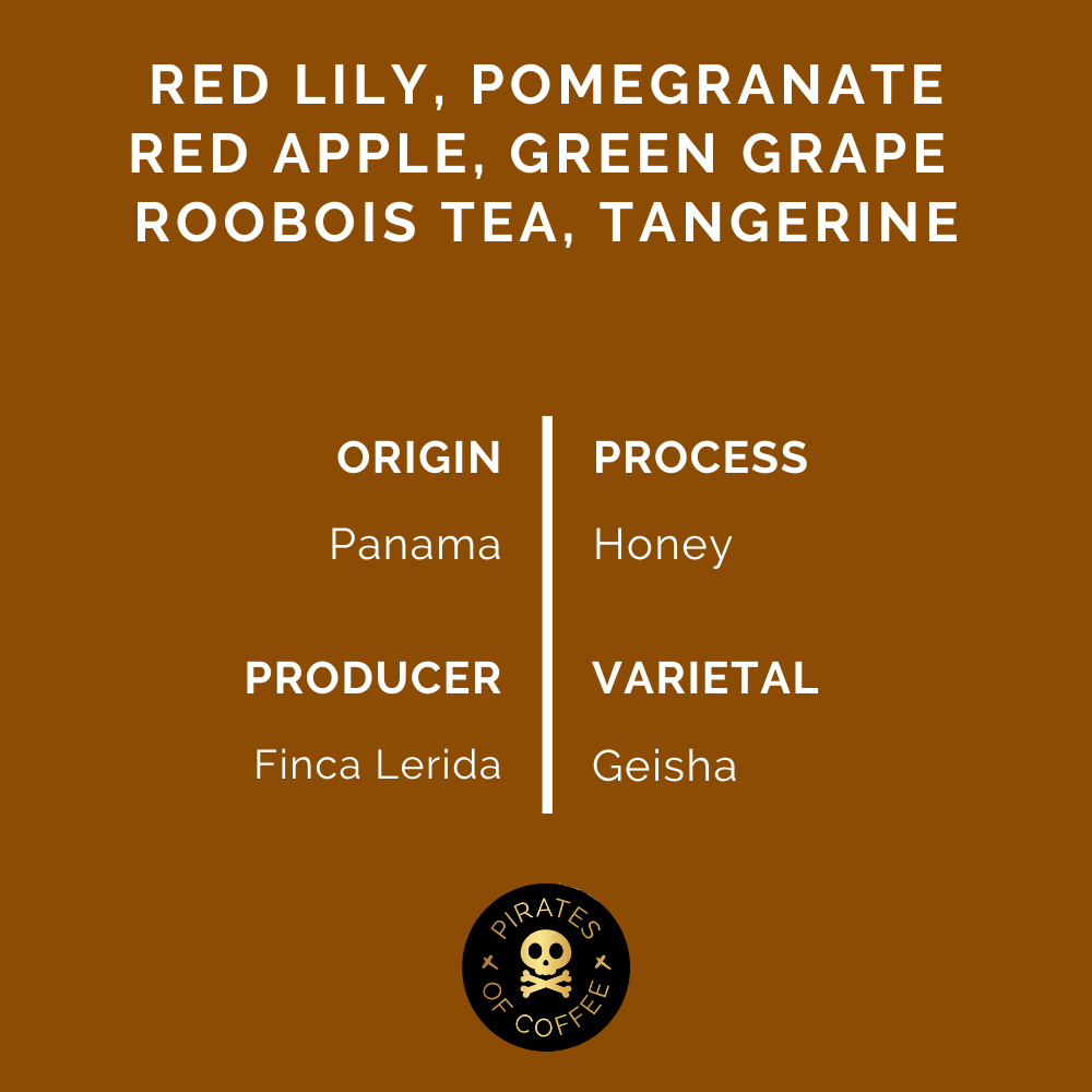 LERIDA GEISHA LOT #5: Panama Honey