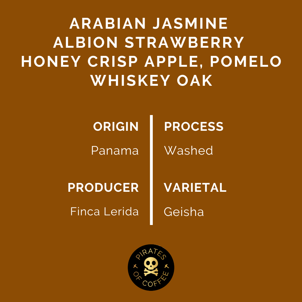 LERIDA GEISHA LOT #5: Panama Washed