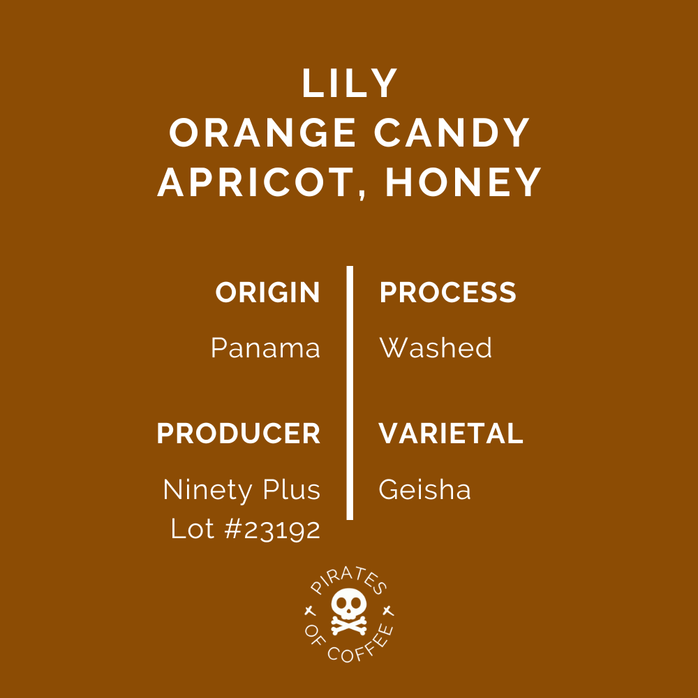 LILY GEISHA: Ninety Plus Panama Washed