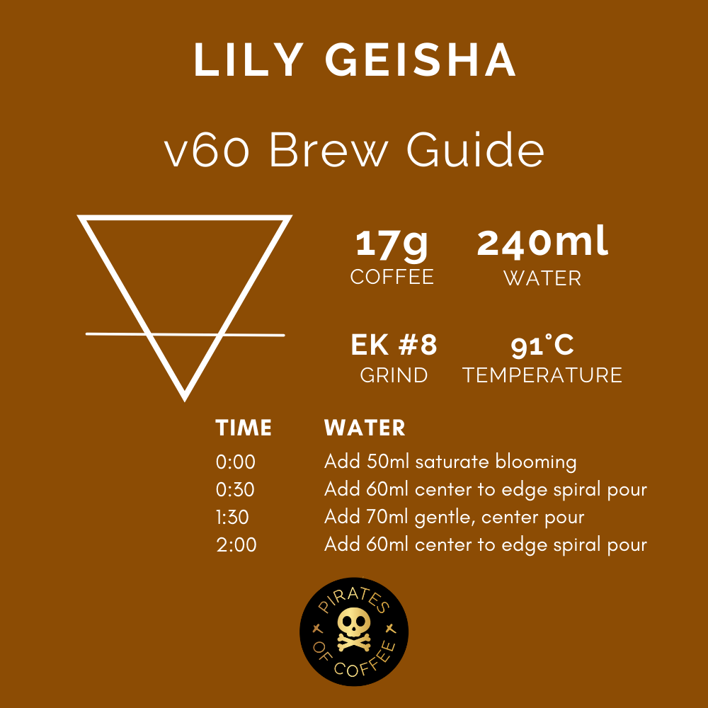 LILY GEISHA: Ninety Plus Panama Washed