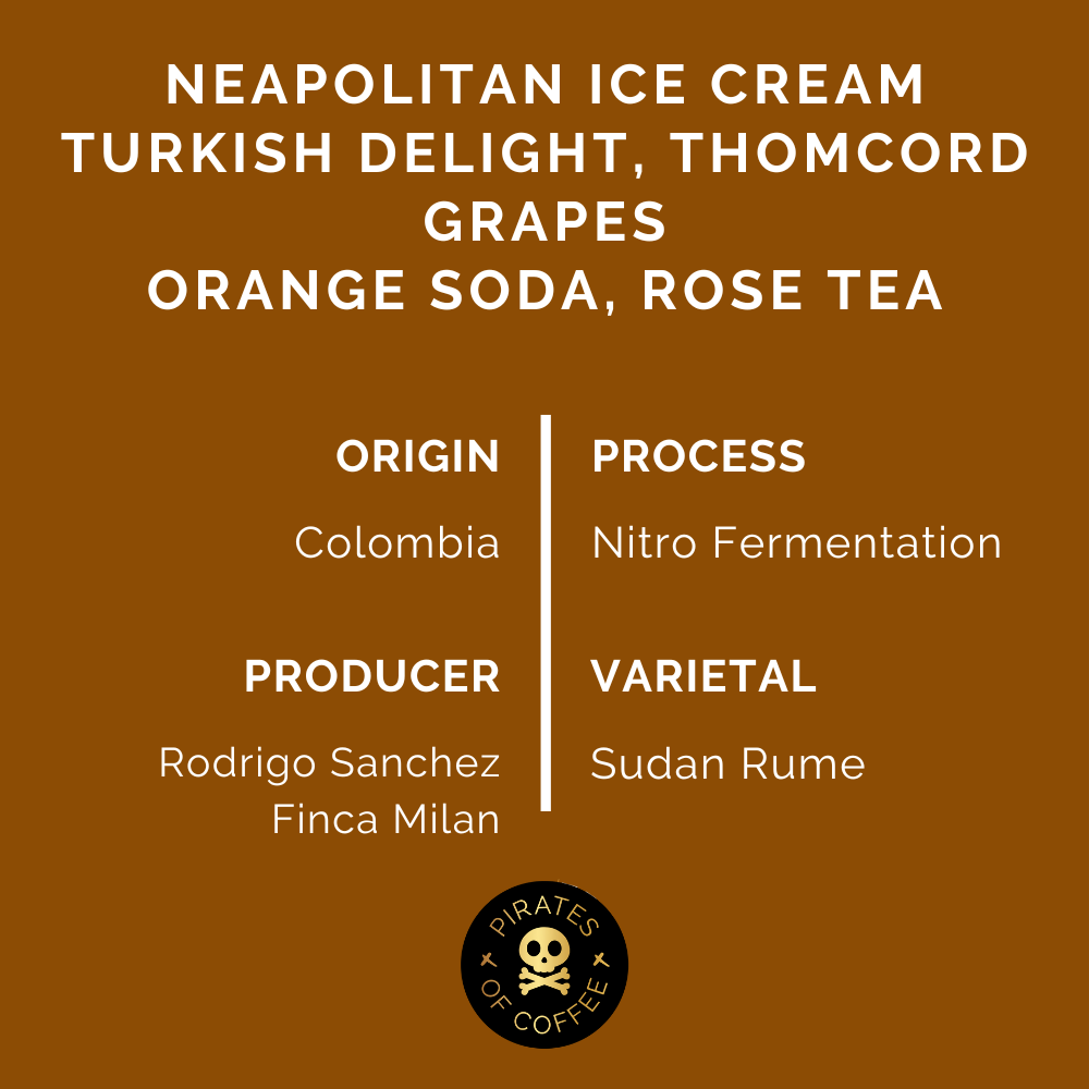 LOLLIPOP ESPRESSO: Colombia Nitro Fermentation