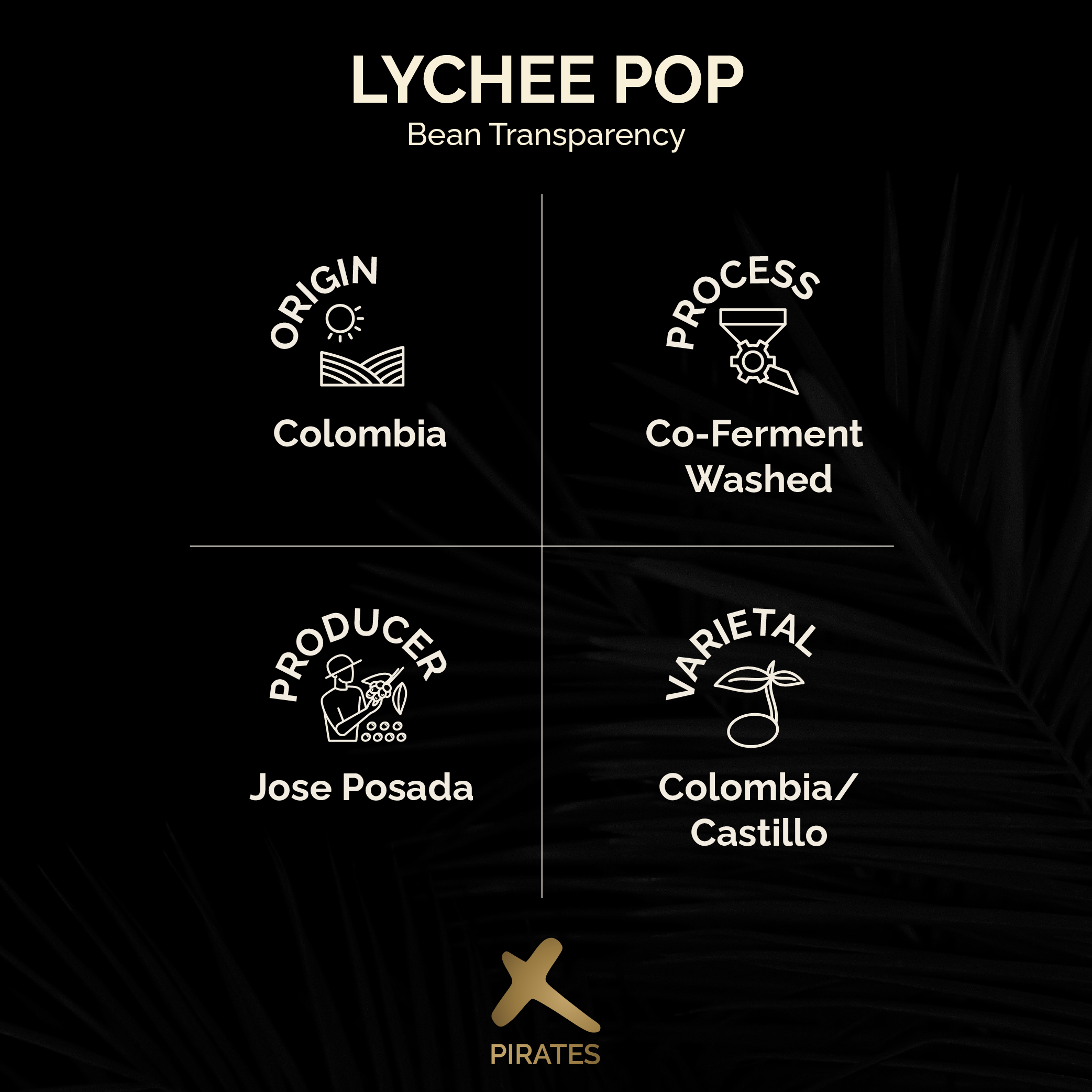 LYCHEE POP: Colombia Co-Ferment Washed