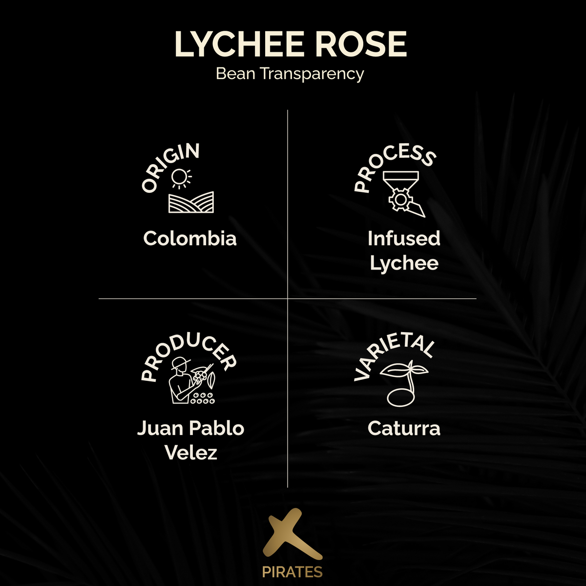 LYCHEE ROSE: Colombia Infused Lychee