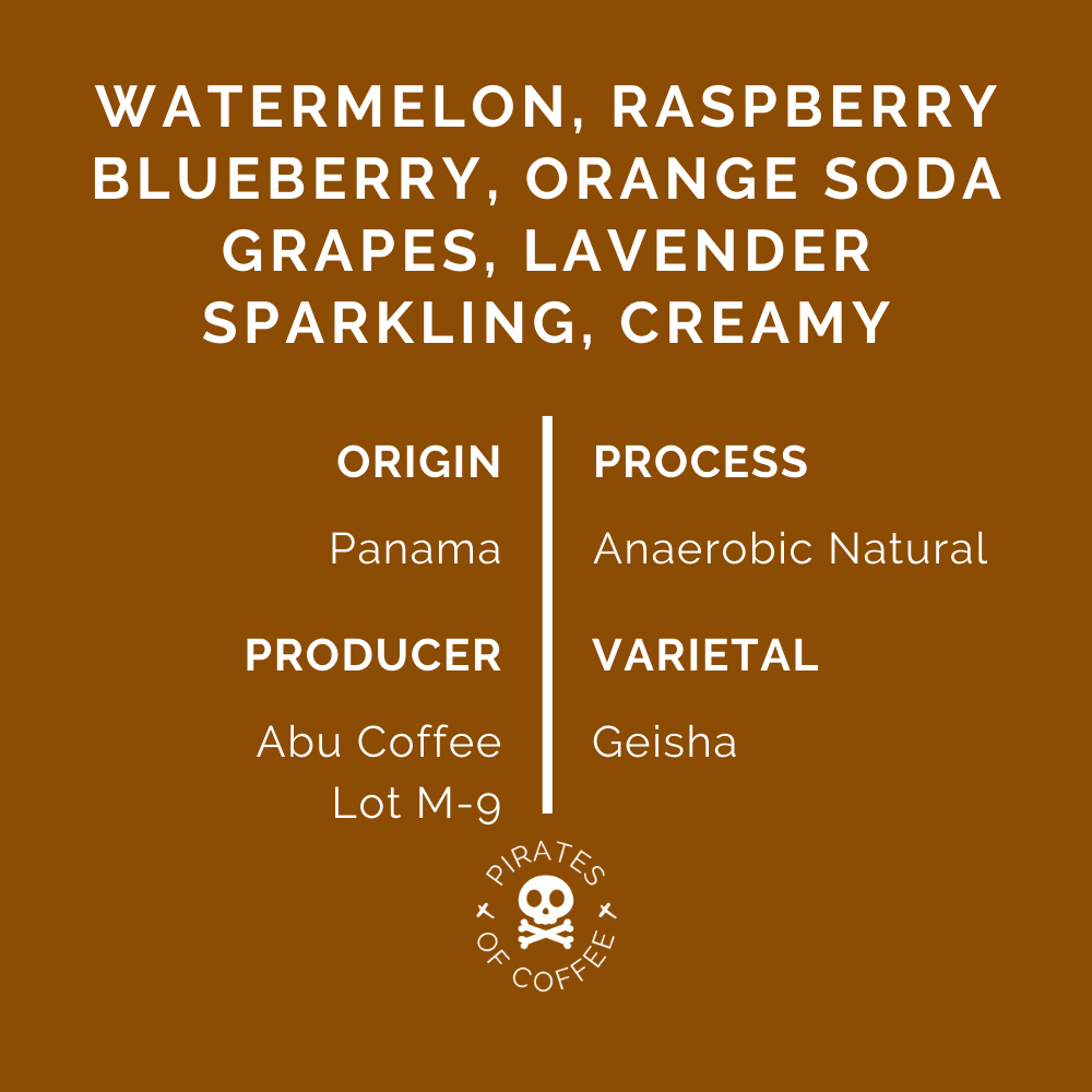 Abu M-9 Geisha: Panama Anaerobic Natural