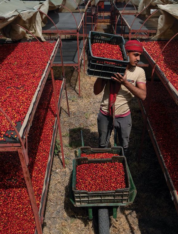 YEMEN MAGHRIB: Yemenia CM Honey