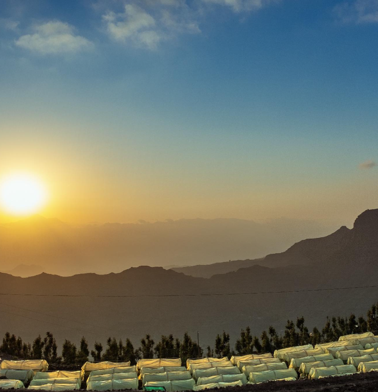 YEMEN MAGHRIB: Yemenia CM Honey