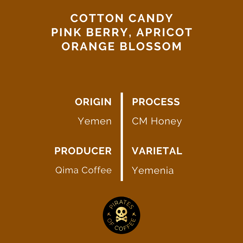 YEMEN MAGHRIB: Yemenia CM Honey