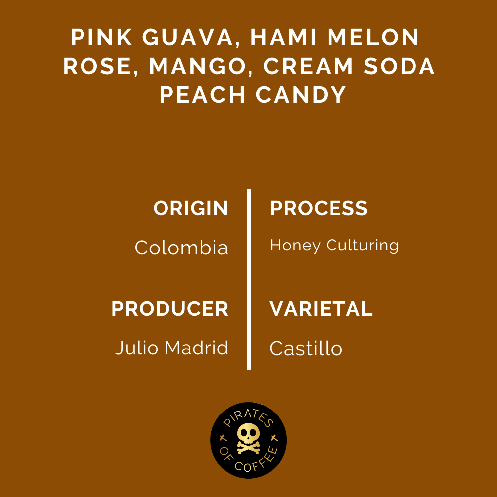 MAGIC POTION: Colombia Honey Culturing