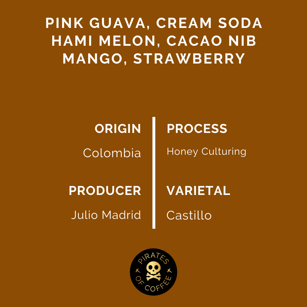 MAGIC POTION ESPRESSO: Colombia Honey Culturing