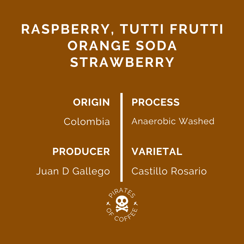 MALIBU SODA: Colombia Anaerobic Natural