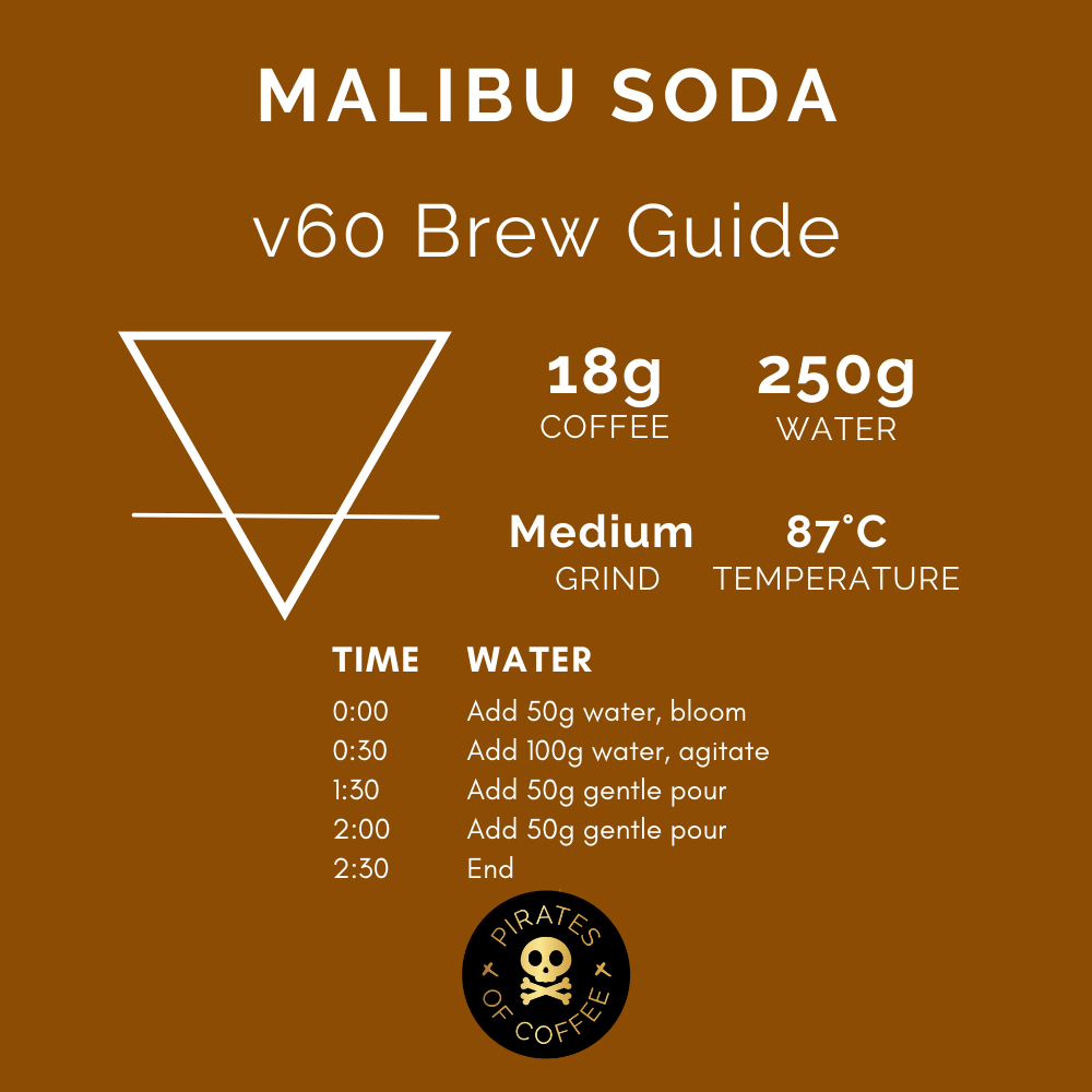MALIBU SODA: Colombia Anaerobic Natural