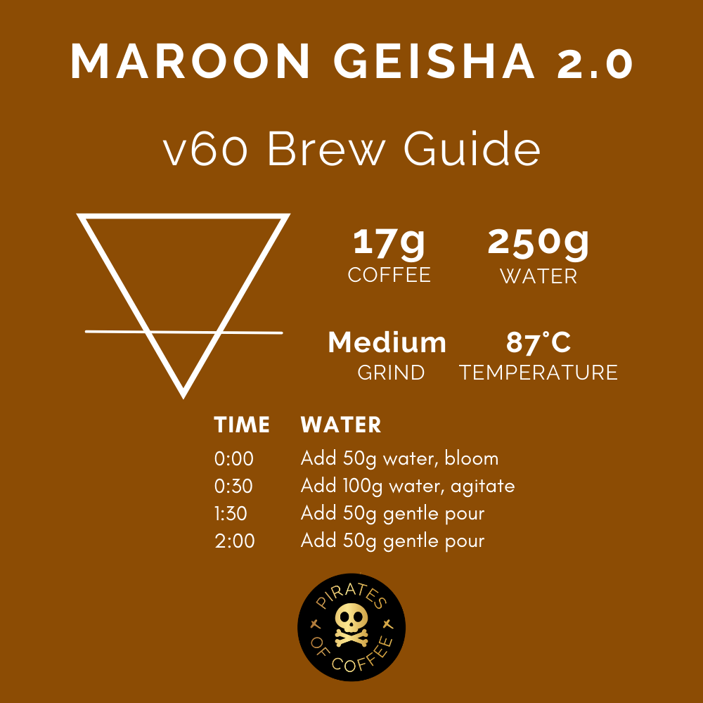 MAROON GEISHA 2.0: Ninety Plus Panama Thermolic