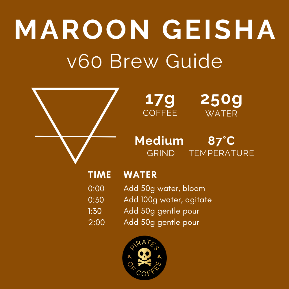 MAROON GEISHA: Ninety Plus Panama Thermolic