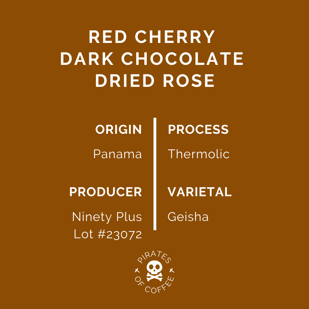 MAROON GEISHA 2.0: Ninety Plus Panama Thermolic