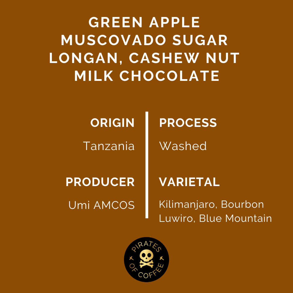 MASAI: Tanzania Peaberry Washed
