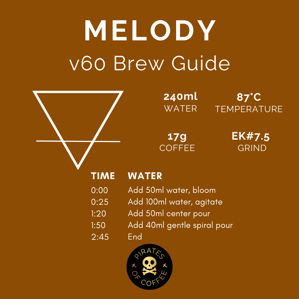 MELODY GEISHA: Panama Ninety Plus Honey