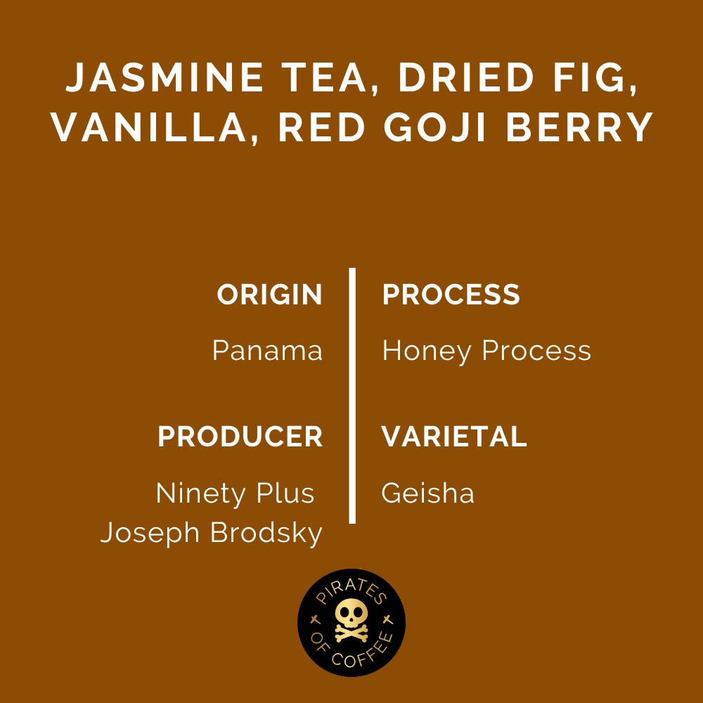 MELODY GEISHA: Panama Ninety Plus Honey