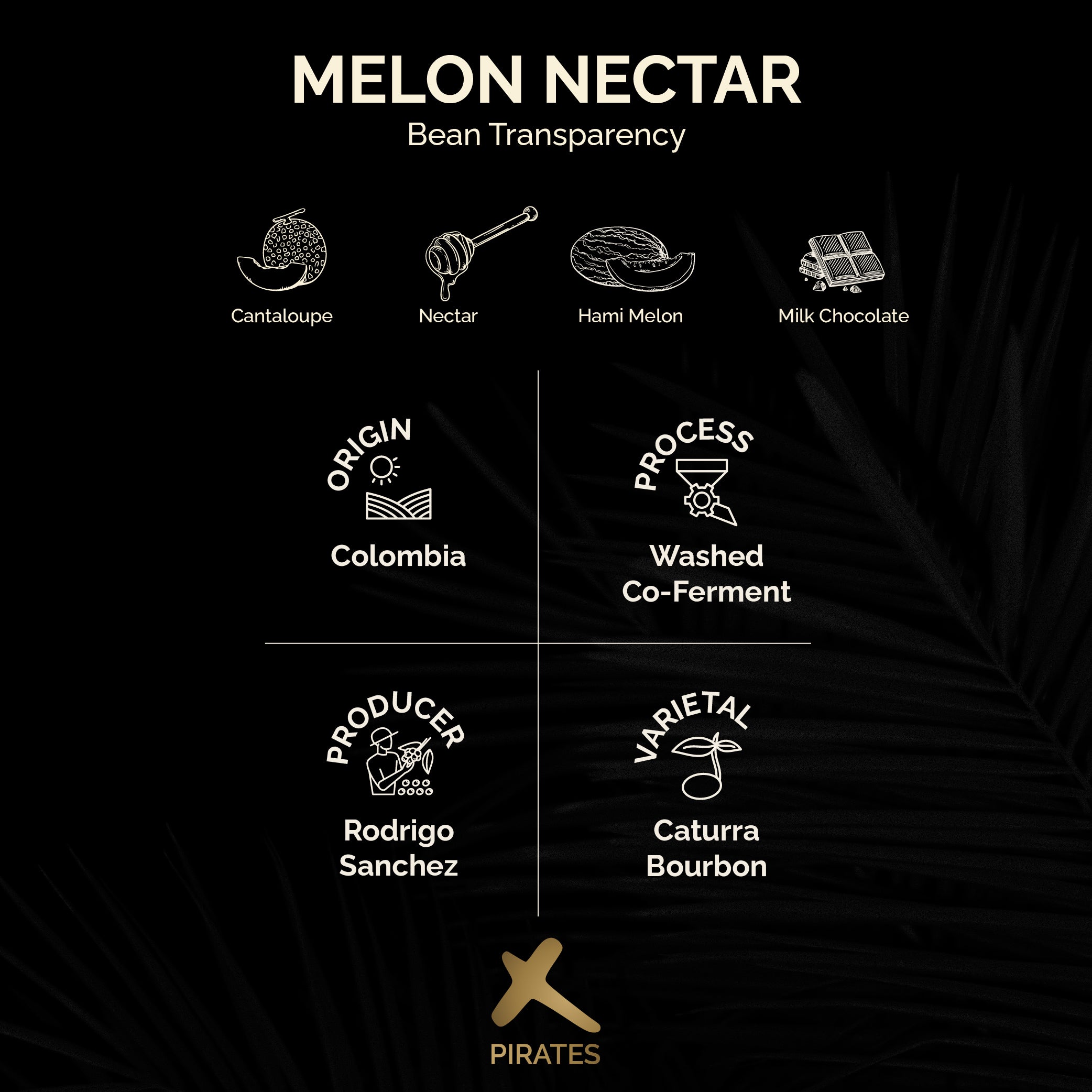 MELON NECTAR: Colombia Co-Ferment Washed
