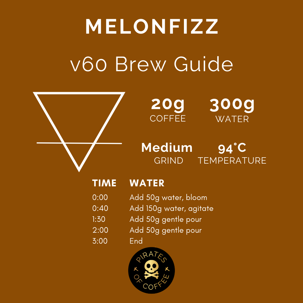 MELONFIZZ: Colombia Nitro Fermentation