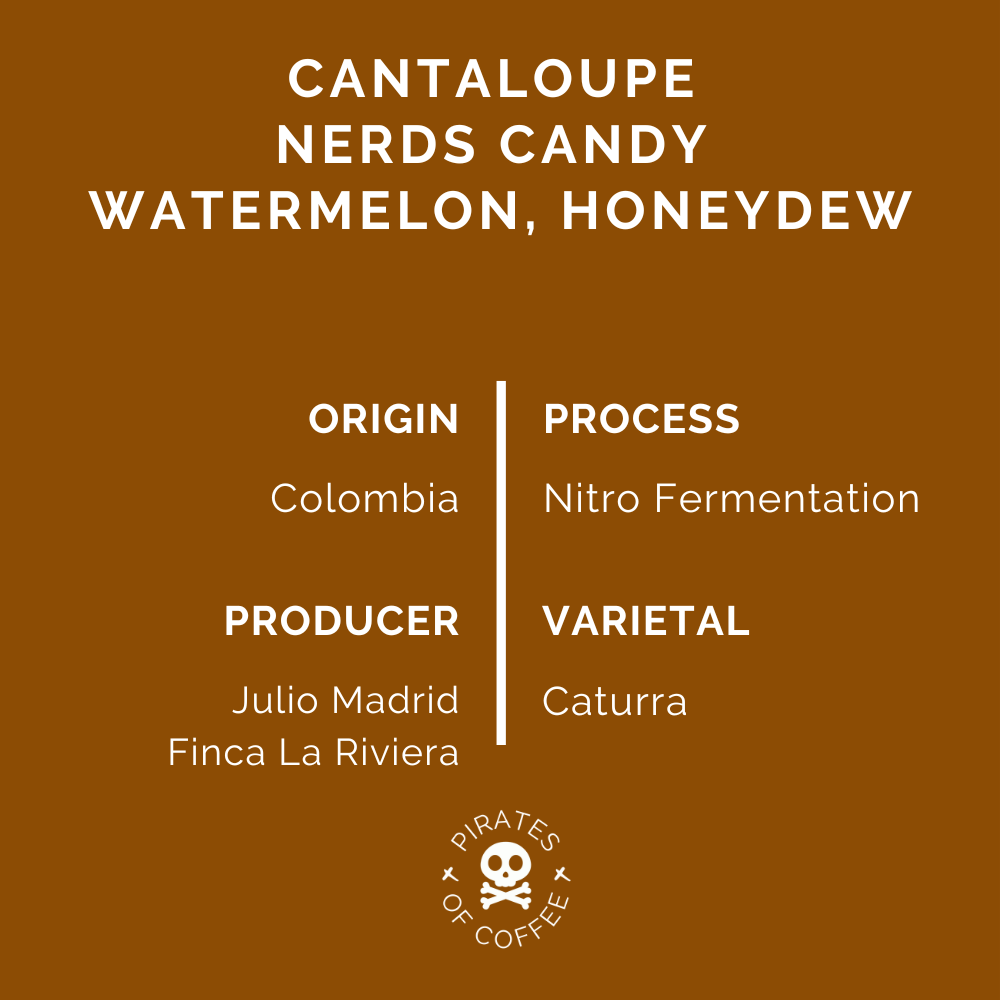 MELONHEAD NITRO: Colombia Nitro Fermentation