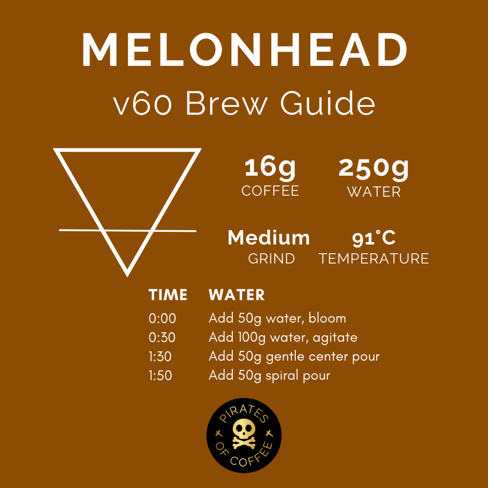 MELONHEAD Colombia Honey Culturing Pirates of Coffee