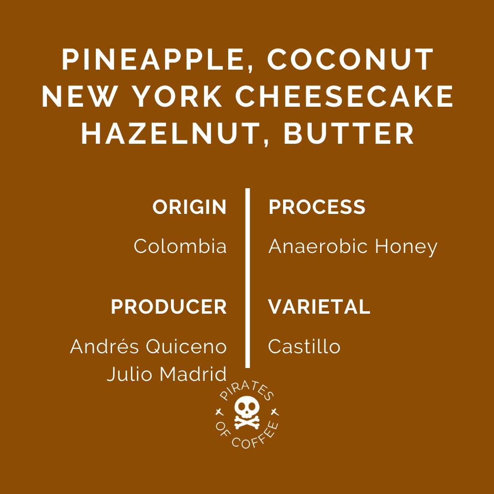 MUNCHIE: Colombia Anaerobic Honey