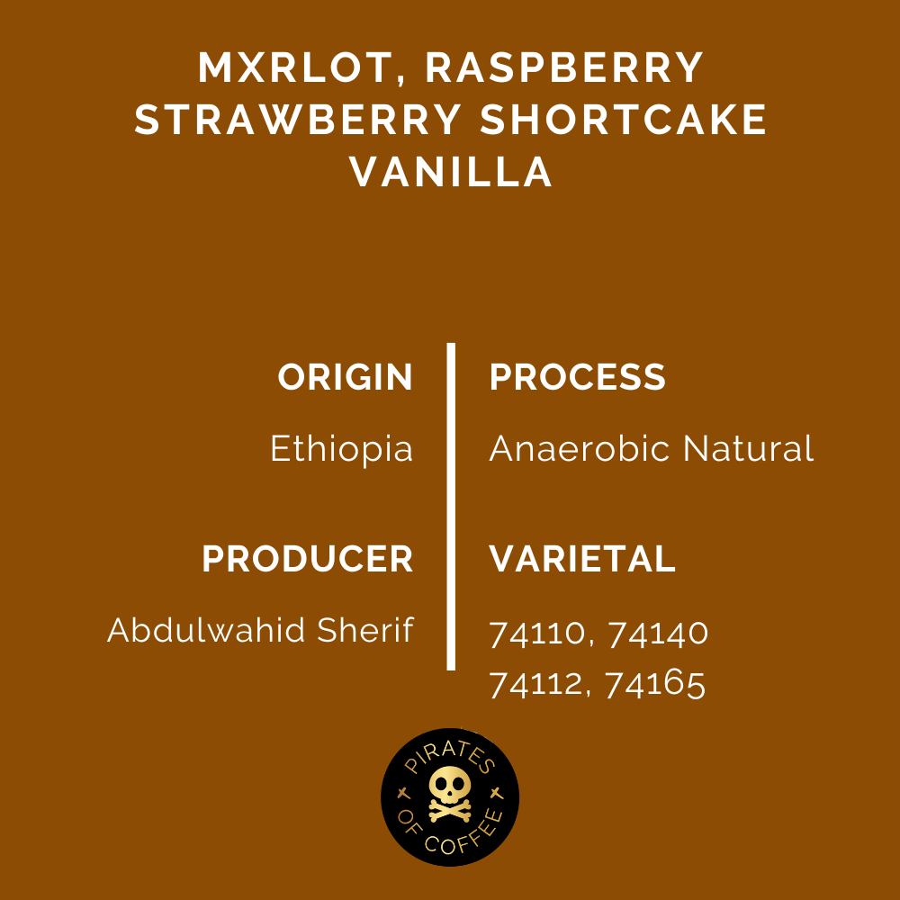 MERLOT ESPRESSO: Ethiopia Anaerobic Natural