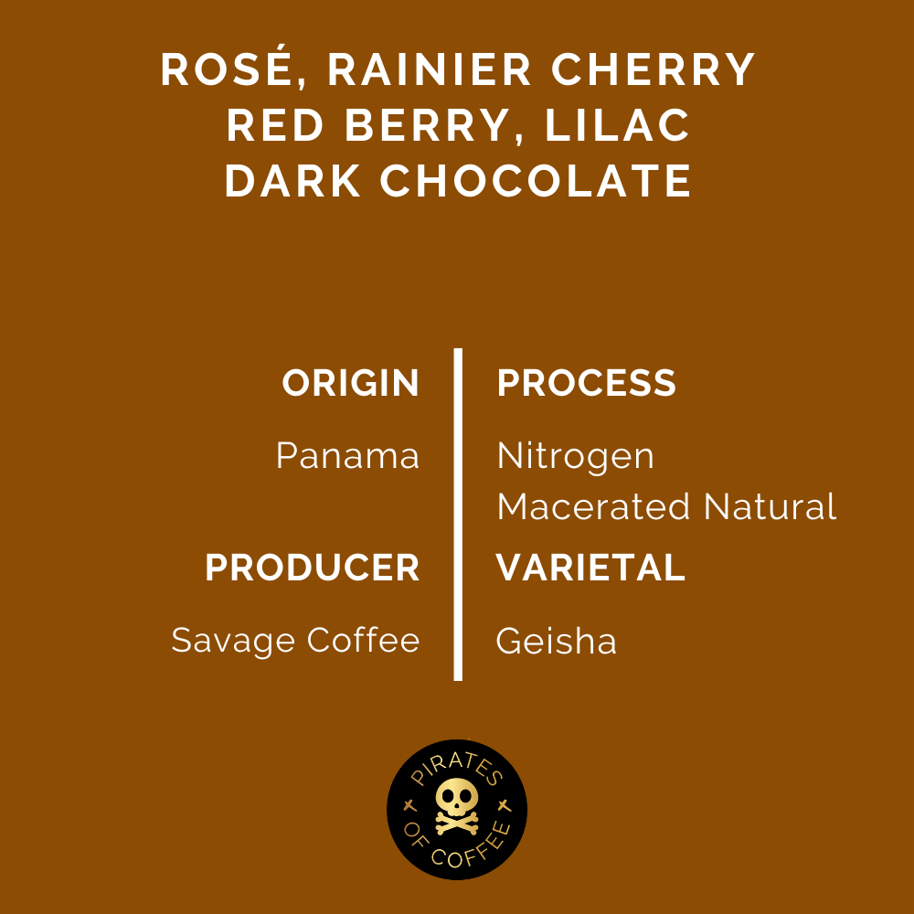 NIRVANA GEISHA: Nitrogen Macerated Natural