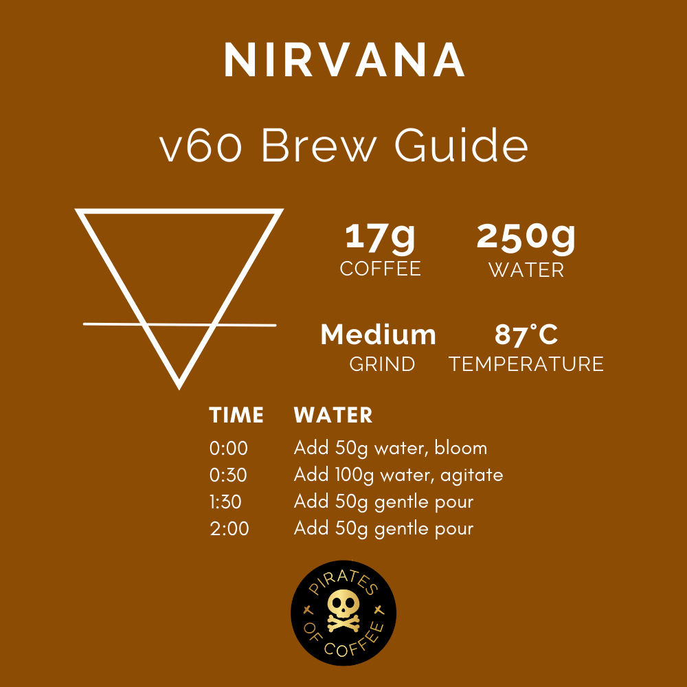 NIRVANA GEISHA: Nitrogen Macerated Natural