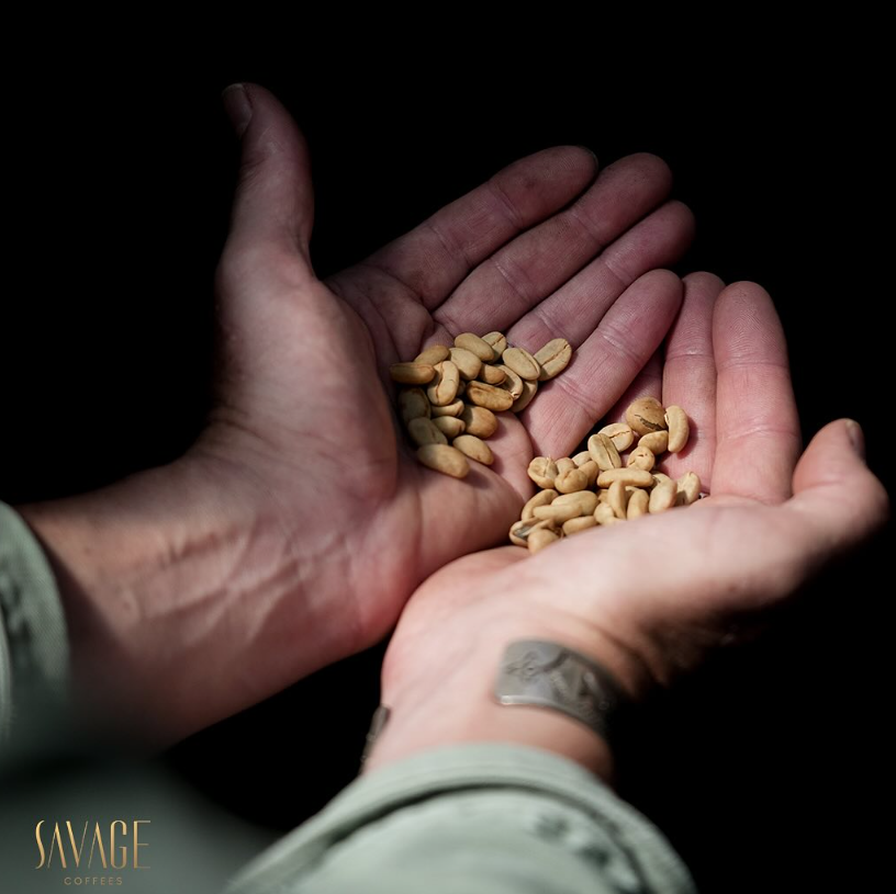 ANTHEM GEISHA: Panama Savage Natural