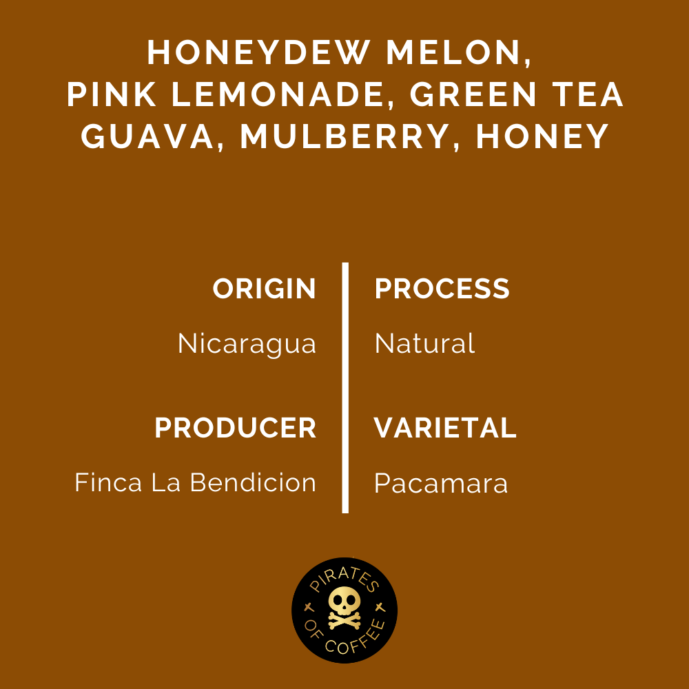 PACAMARA: Nicaragua Natural