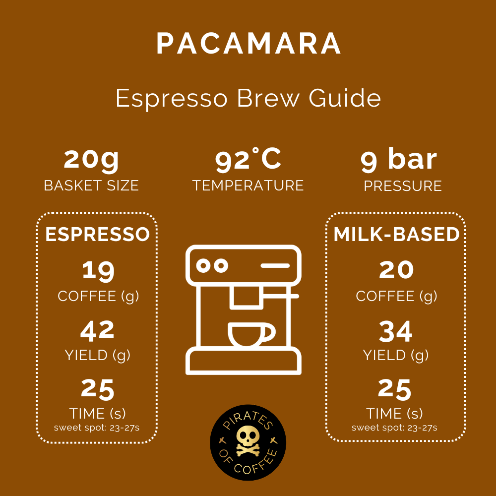 PACAMARA: Nicaragua Natural