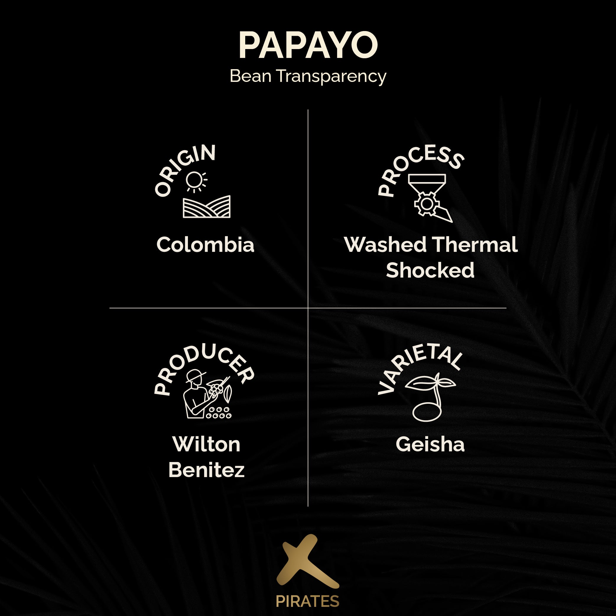 PAPAYO: Colombia El Paraiso 92 Washed Thermal Shock
