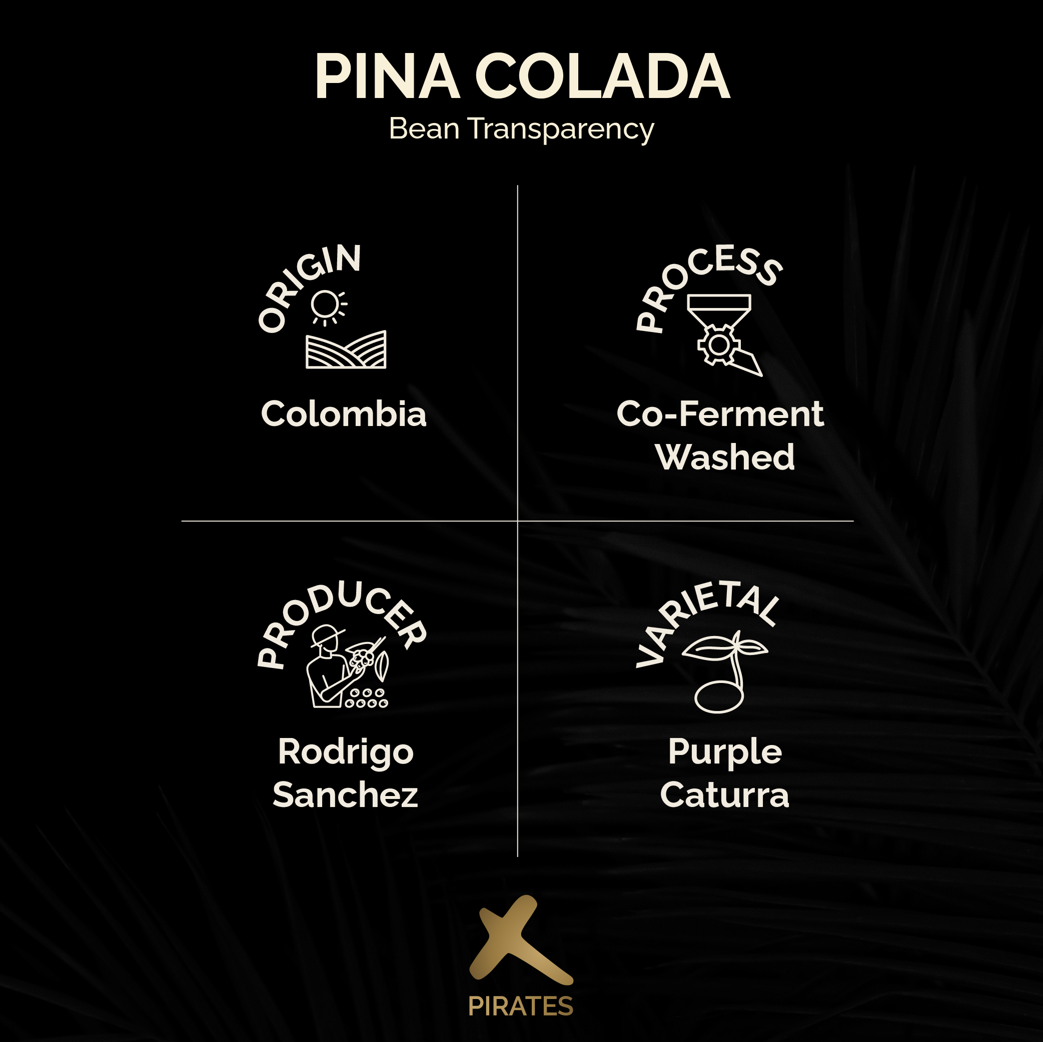 PIÑA COLADA: Colombia Co-Ferment Washed