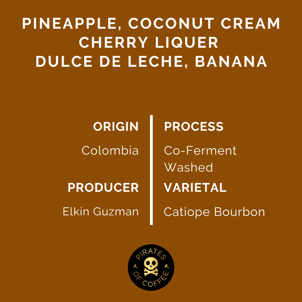 PINA COLADA: Colombia Co-Ferment Washed