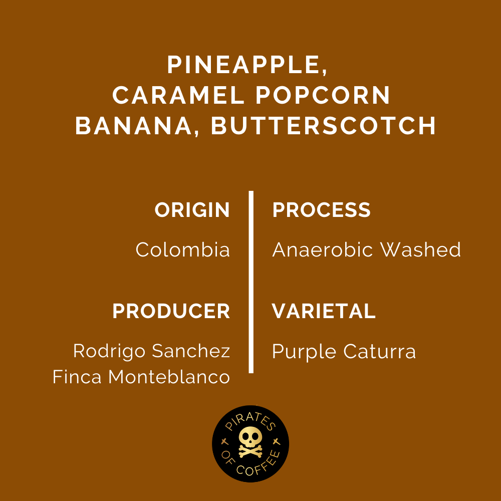 PINEAPPLE POP: Colombia Anaerobic Washed