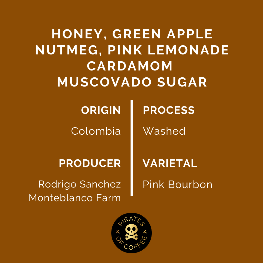 RODRIGO SANCHEZ PINK BOURBON: Colombia Washed