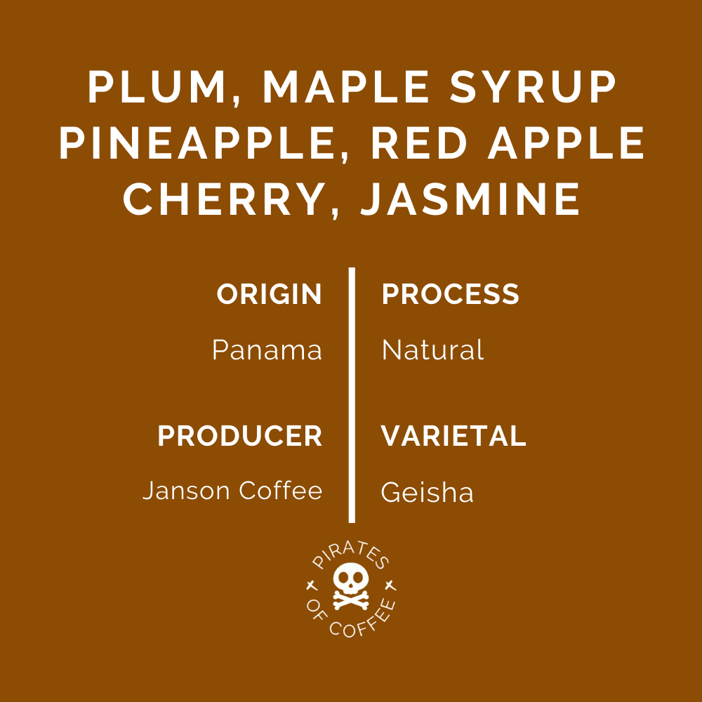 PLUM GEISHA: Janson 907 Natural