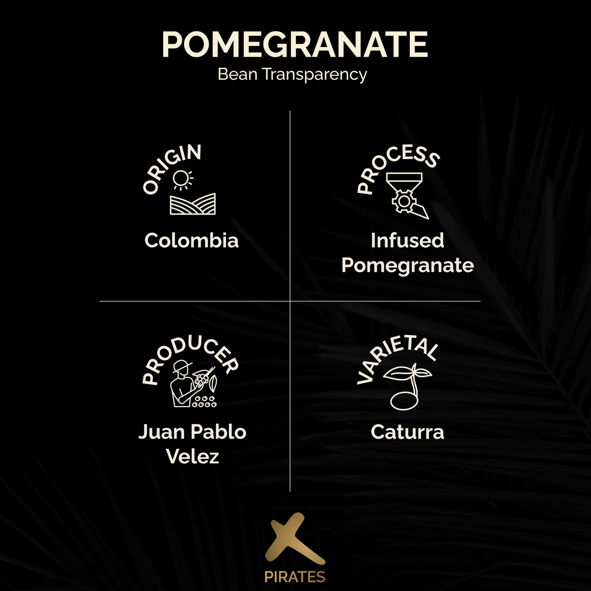 POMEGRANATE: Colombia Infused Pomegranate