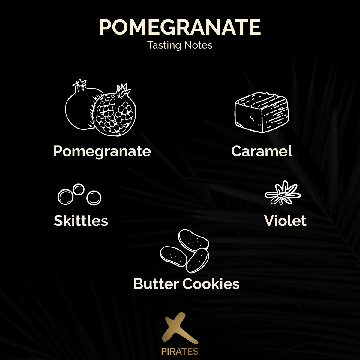 POMEGRANATE: Colombia Infused Pomegranate