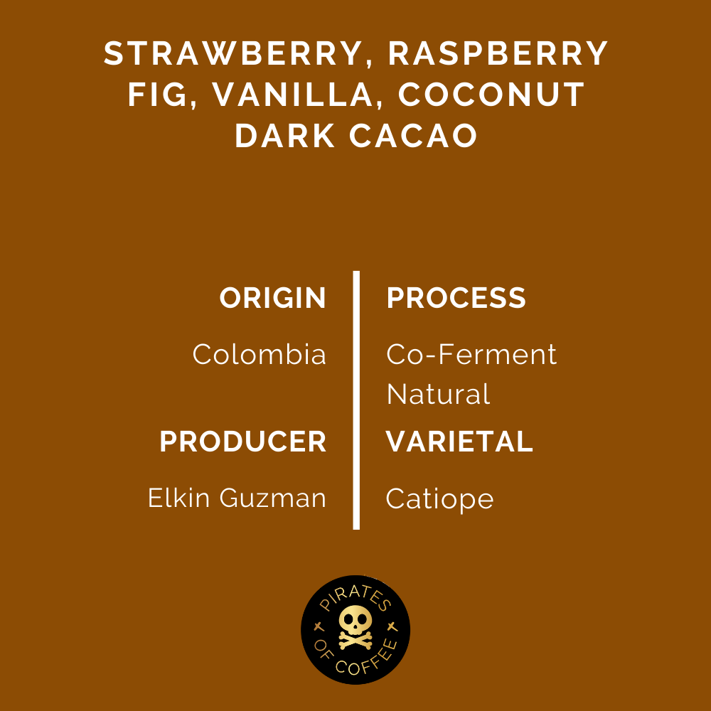 RAZZLEBERRY ESPRESSO: Colombia Co-Ferment Natural