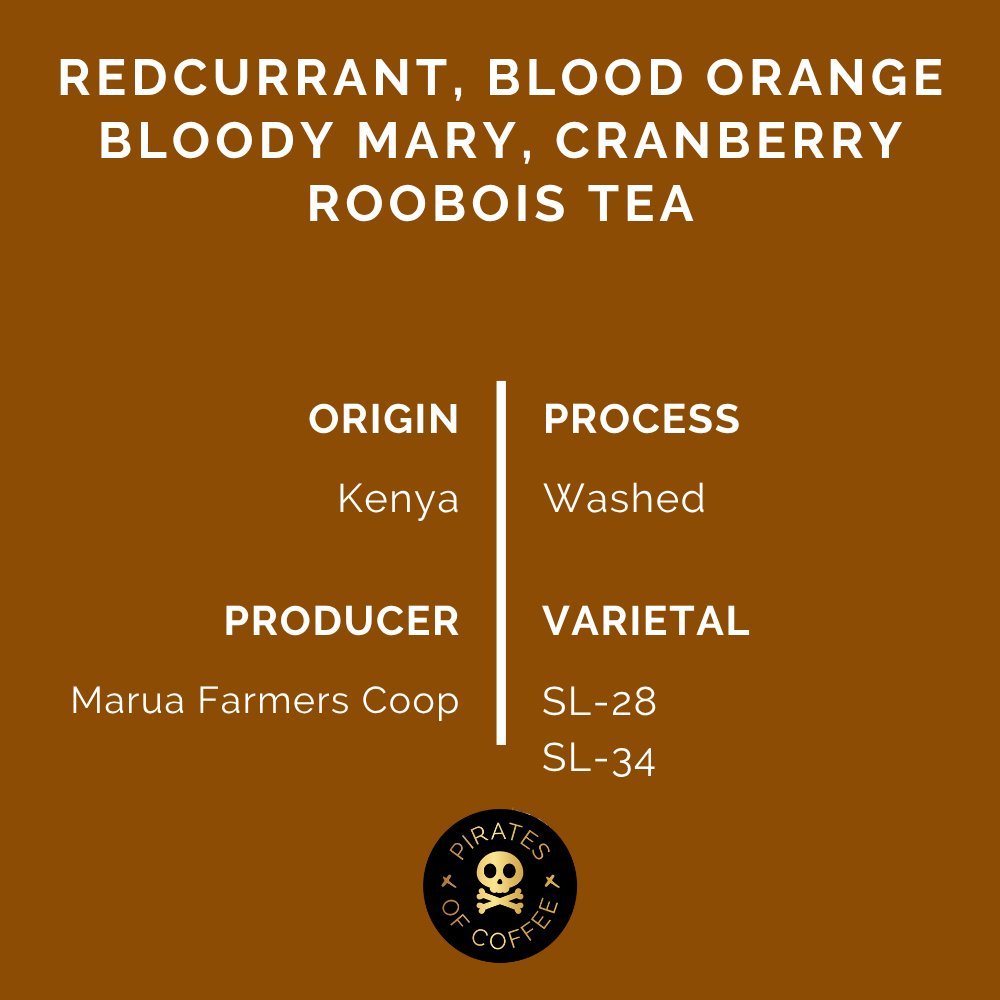 RED MAMBA: Kenya AA Washed